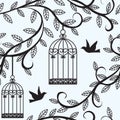 Birds flying and cage Royalty Free Stock Photo