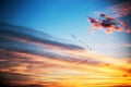 Birds flying in dramatic blue sky, sunset shot