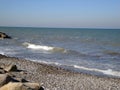 Birds in the caspian sea