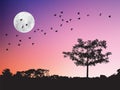 Birds flying over the moon and tree silhouette in twilight sunset Royalty Free Stock Photo