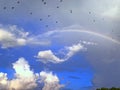 birds flying over rainbow at beach Royalty Free Stock Photo
