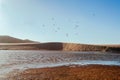 Birds flying over small lake and sand dunes. Natural lanscape at sunset time Royalty Free Stock Photo