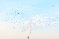 Birds flying over the toxic smoke Royalty Free Stock Photo