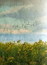 Birds flying over wild flowers