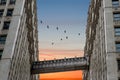 Birds flying in the shape of v above the bridge between the Wrigley Building at the financial district, Chiacago Royalty Free Stock Photo