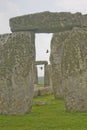 Birds flying among Stonehenge Royalty Free Stock Photo