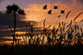 Birds flying at sunset Royalty Free Stock Photo