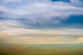 birds flying to home on colorful sky soft cloud Royalty Free Stock Photo