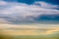 birds flying to home on colorful sky soft cloud Royalty Free Stock Photo