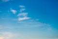 birds flying to home on white blue sky soft cloud Royalty Free Stock Photo