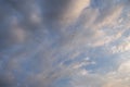 Birds flying in V formation above St Augustine Beach, Florida. Royalty Free Stock Photo