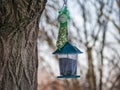 Birds food place wildlife image