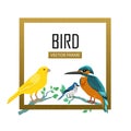 Birds Frame Flat Design Vector Illustration Royalty Free Stock Photo