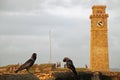 Birds in front of the tower of the Unesco Galle Fort in Sri Lanka Royalty Free Stock Photo