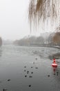 Birds and frozen river Royalty Free Stock Photo