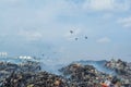 Birds at the garbage dump full of smoke, litter, plastic bottles,rubbish and trash at tropical island Royalty Free Stock Photo