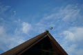 Two birds Columba palumbus fly over the roof of the house in July. Berlin, Germany Royalty Free Stock Photo