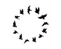 Flying birds silhouettes in shape of a circle, vector Royalty Free Stock Photo