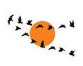 Flying birds silhouettes on sunset isolated on white background, vector Royalty Free Stock Photo