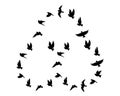 Flying bird silhouettes isolated on a white background, vector Royalty Free Stock Photo