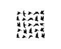 Flying bird silhouettes isolated on a white background, vector Royalty Free Stock Photo