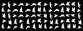 Flying bird silhouettes isolated on a black background, vector illustration Royalty Free Stock Photo