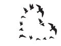 Flying Birds Silhouettes in the shape of heart isolated on white, vector, illustration. Symbol of freedom and love Royalty Free Stock Photo