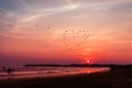 Birds heart silhouettes flying above the sea against sunset Royalty Free Stock Photo