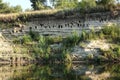 Birds homes swallows nests by the river banch hill wild nature landscape summer green grass