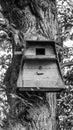 A birds house