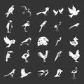 Birds icon set grey vector Royalty Free Stock Photo