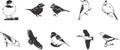 Birds icons set