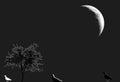 Birds illustration against single bare leafless tree and half moon silhouette in black, black and white.