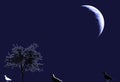 Birds illustration against single bare leafless tree and half moon silhouette in blue, black and white.