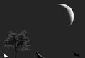 Birds illustration against single bare leafless tree and half moon silhouette in grey, black and white.