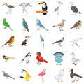 Birds illustration Pack with with variation hues and wonderful style too, Perfect set for some other sort of structure. Layered.