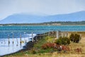 Birds on the island, Puerto Natales, Patagonia, Chile Royalty Free Stock Photo