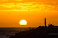 Avian Spectators Watching the Sunrise Royalty Free Stock Photo