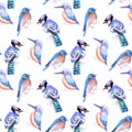 Birds kingfisher, bluejay, bluebird in tints and shades of blue seamless watercolor background Royalty Free Stock Photo