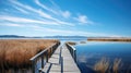 birds klamath lake