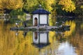 Birds in a lake by autumntime Royalty Free Stock Photo