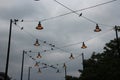 Birds on lamp wires Royalty Free Stock Photo