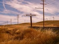 Birds Landing Signage, Solano County, California