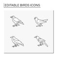 Birds line icons set