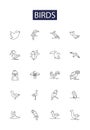 Birds line vector icons and signs. fowl, raptor, songbird, pelican, dove, parrot, swan, jay outline vector illustration