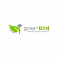 Birds logo vector template. Green bird logo vector design. Royalty Free Stock Photo