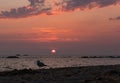 Birds look out over ocean at sunset on beach in silhouette Royalty Free Stock Photo