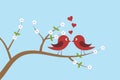 Birds in love kissing on spring day on branches with white flowers Royalty Free Stock Photo