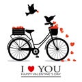 Birds in love on top of a bicycle Royalty Free Stock Photo