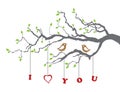 Birds in love on a tree branch Royalty Free Stock Photo